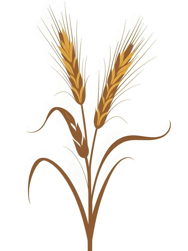 Gambo di segale alluminio dibond da Botanical Gallery