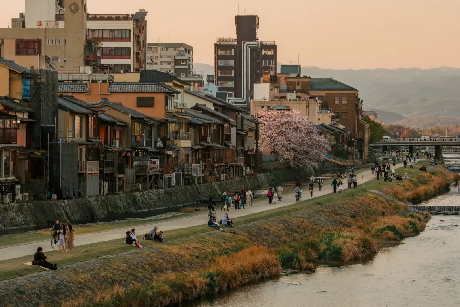 Tramonto sul fiume Kamo a Kyoto pellicola backlit da mbgraphx2