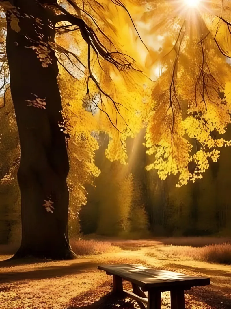 L'ultima luce dell'autunno pellicola backlit da Pixel Boy