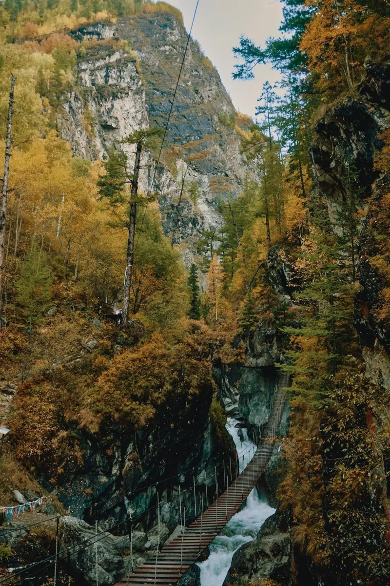 bridge flow in forest poster da juli