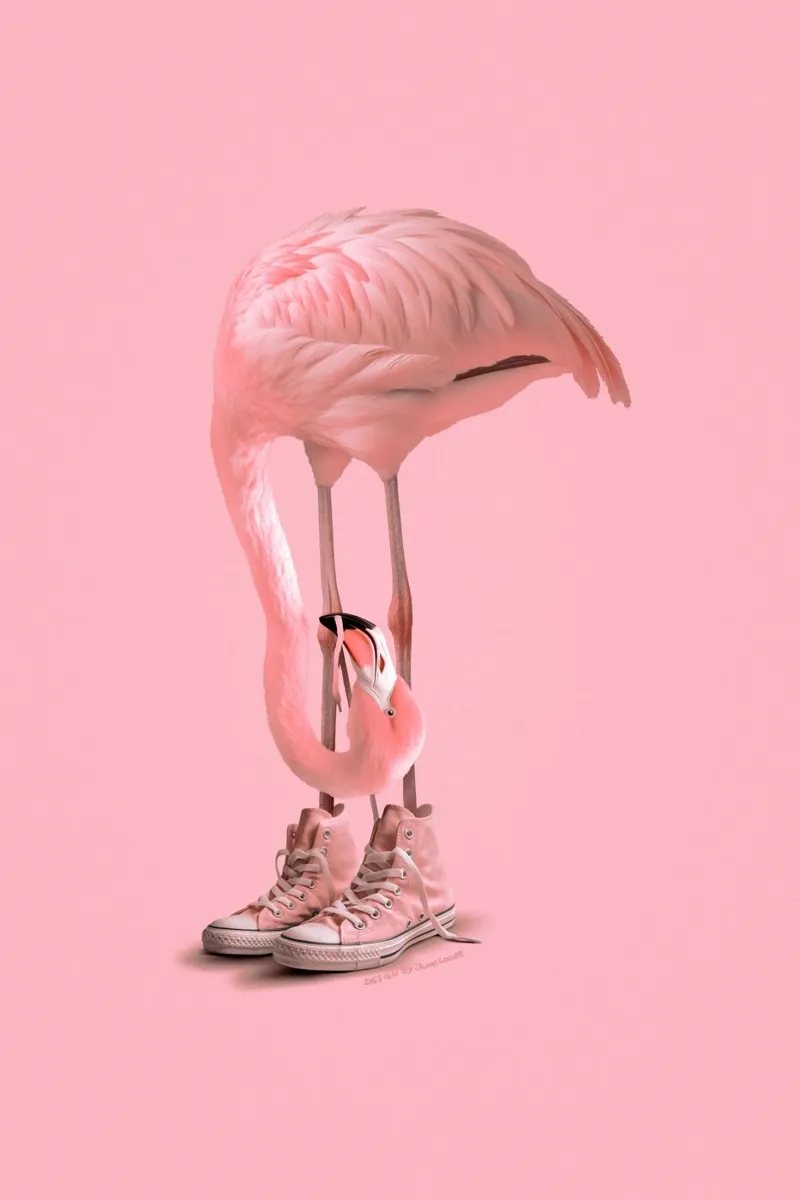 Sneaker Flamingo 2.0 pellicola backlit da Jonas Loose