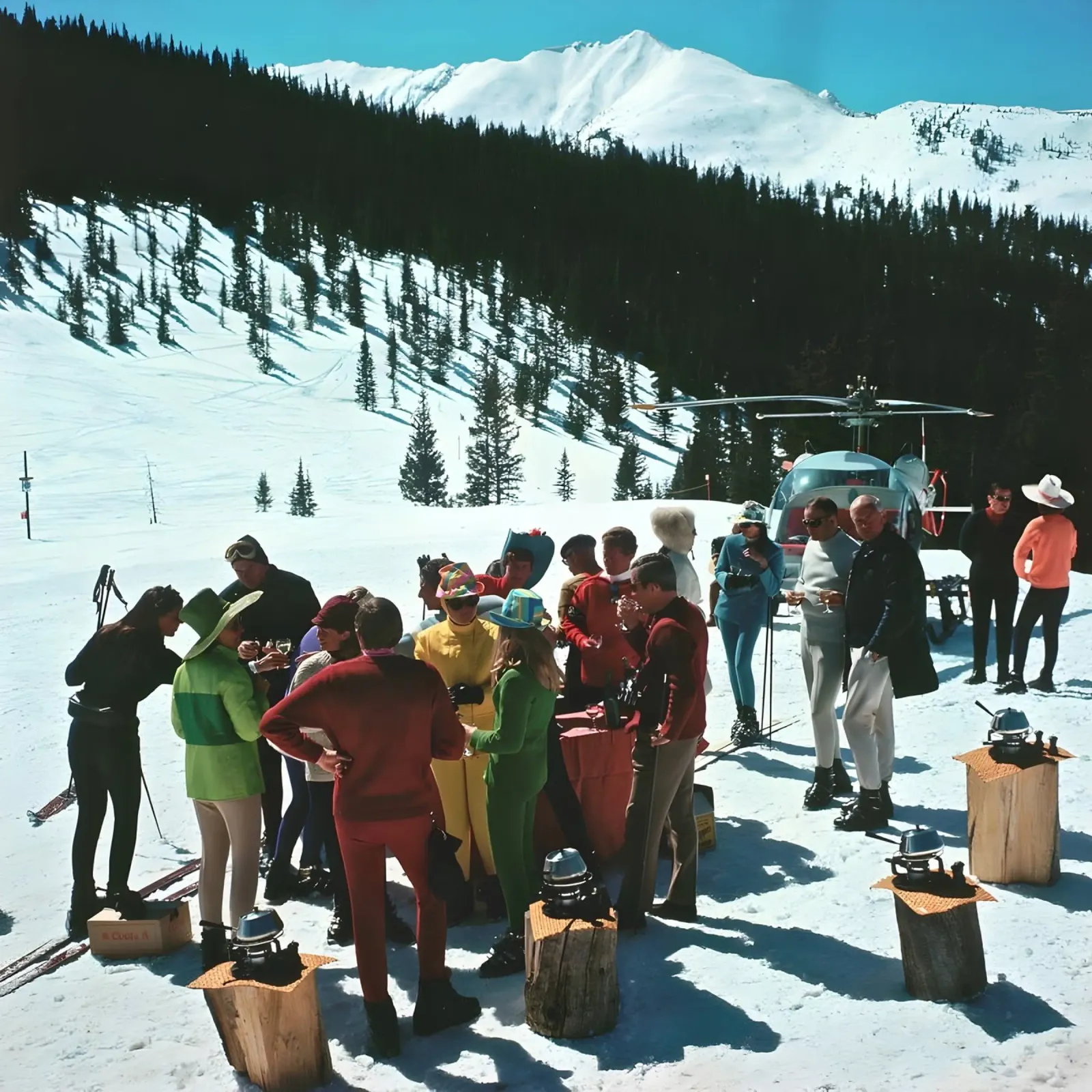 Snowmass Picnic alluminio dibond da arleneturnershop