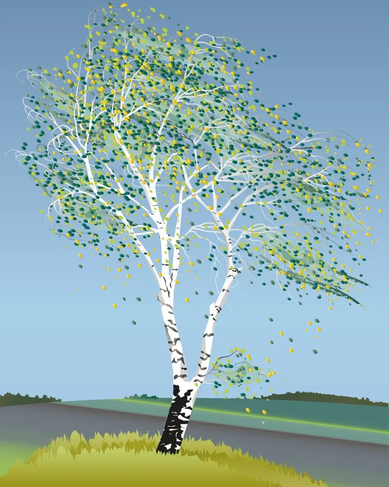 epic tree leaf plexiglass da scoten