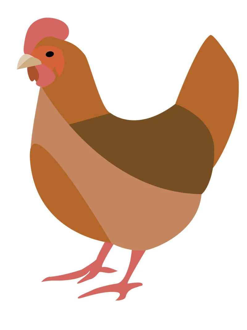 chicken carta hahnemühle da XOXO Arte