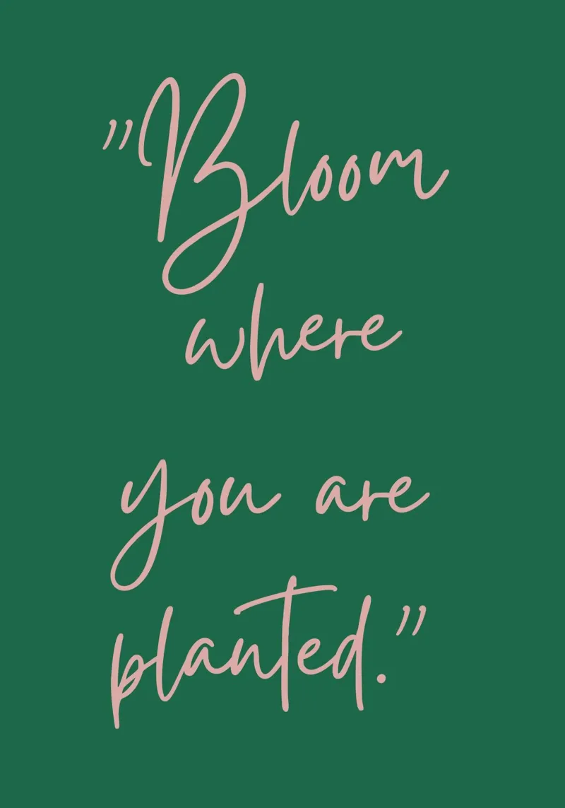 Bloom Where You Are Planted Inspirational Zitat Hahnemühle von The Art Club