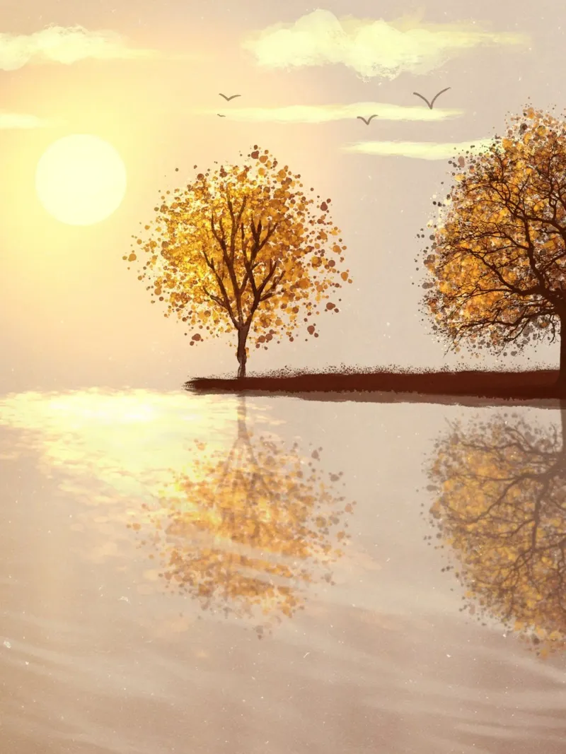 tree reflect in the sunlight Hahnemühle von scoten