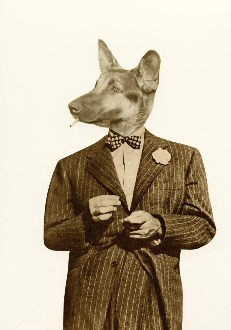 Play it Cool backlit film by Cassia Beck Collage