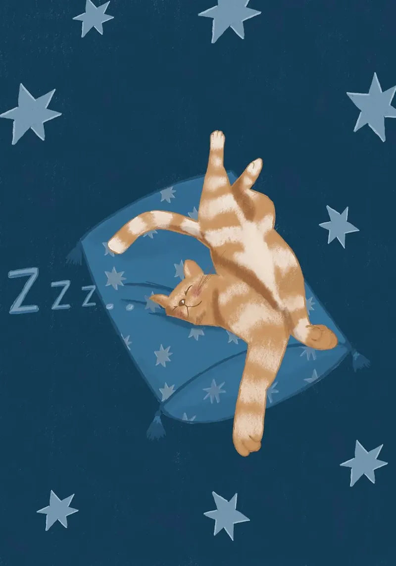 Gatto che dorme pellicola backlit da Tory