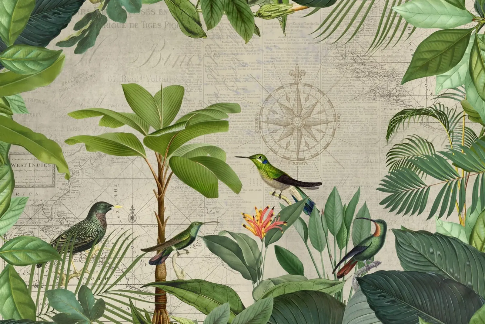Colibrì verde paradiso tropicale tela da Andrea Haase Vintage World