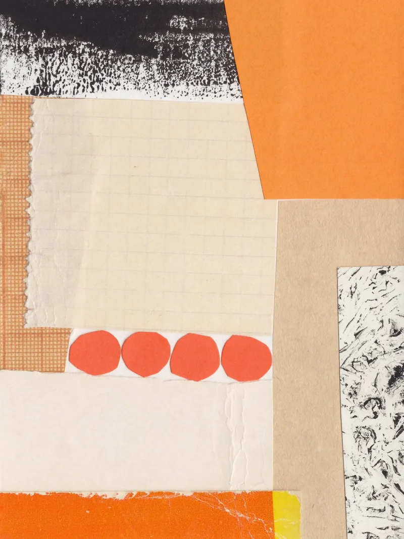 Alisa Galitsyna - Colour Collection Tan Hide pellicola backlit da The Artcircle