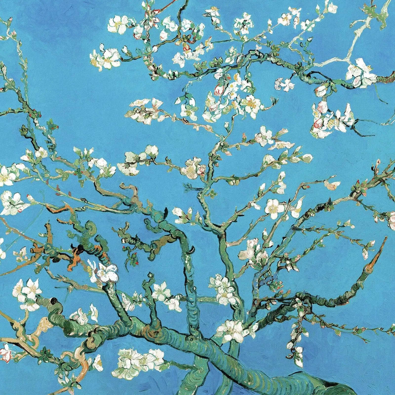 Mandorlo in fiore, 1890 ll carta hahnemühle da Roy Terrell