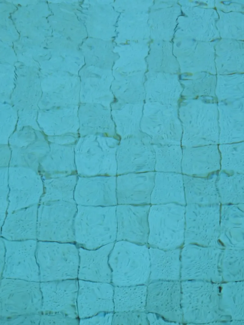 Ripples on a Pool Surface hahnemühle by byrieneke