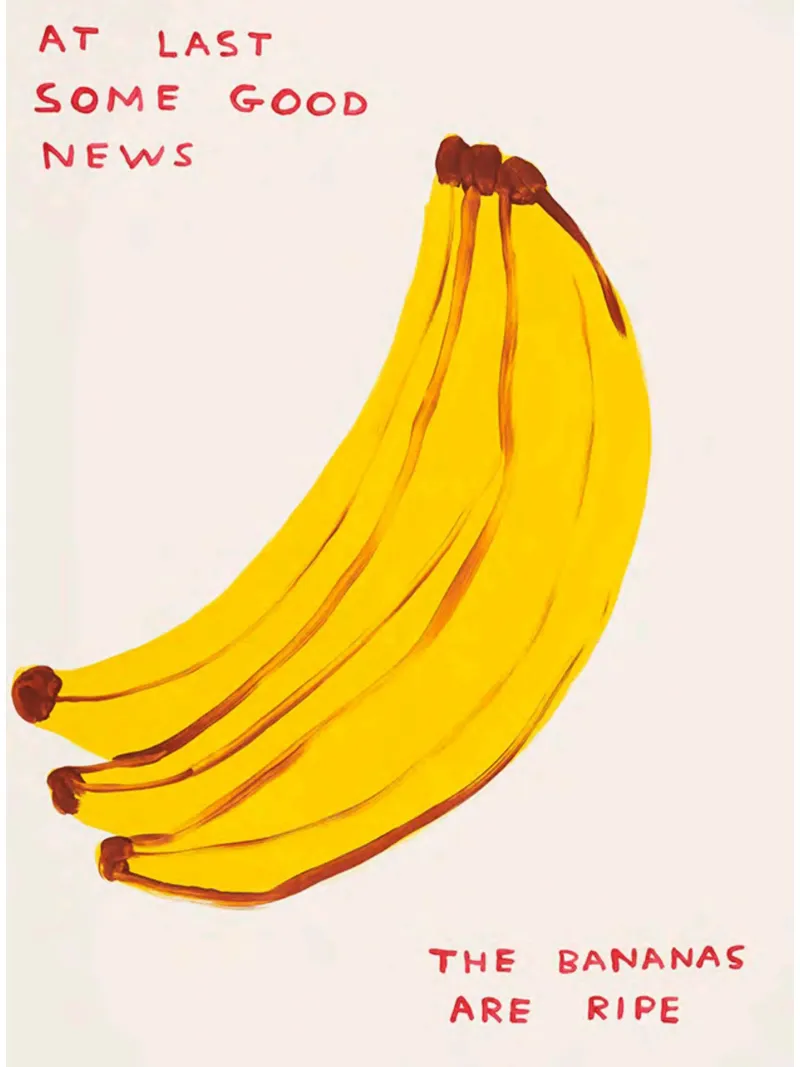 At Last Some Good News David Shrigley The Bananas Are Ripe poster da RANDER J