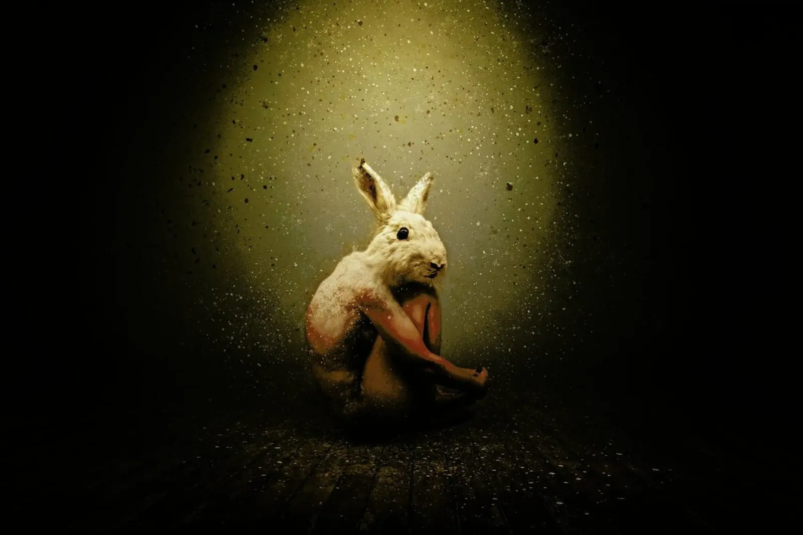 Bunny pellicola backlit da Tupho