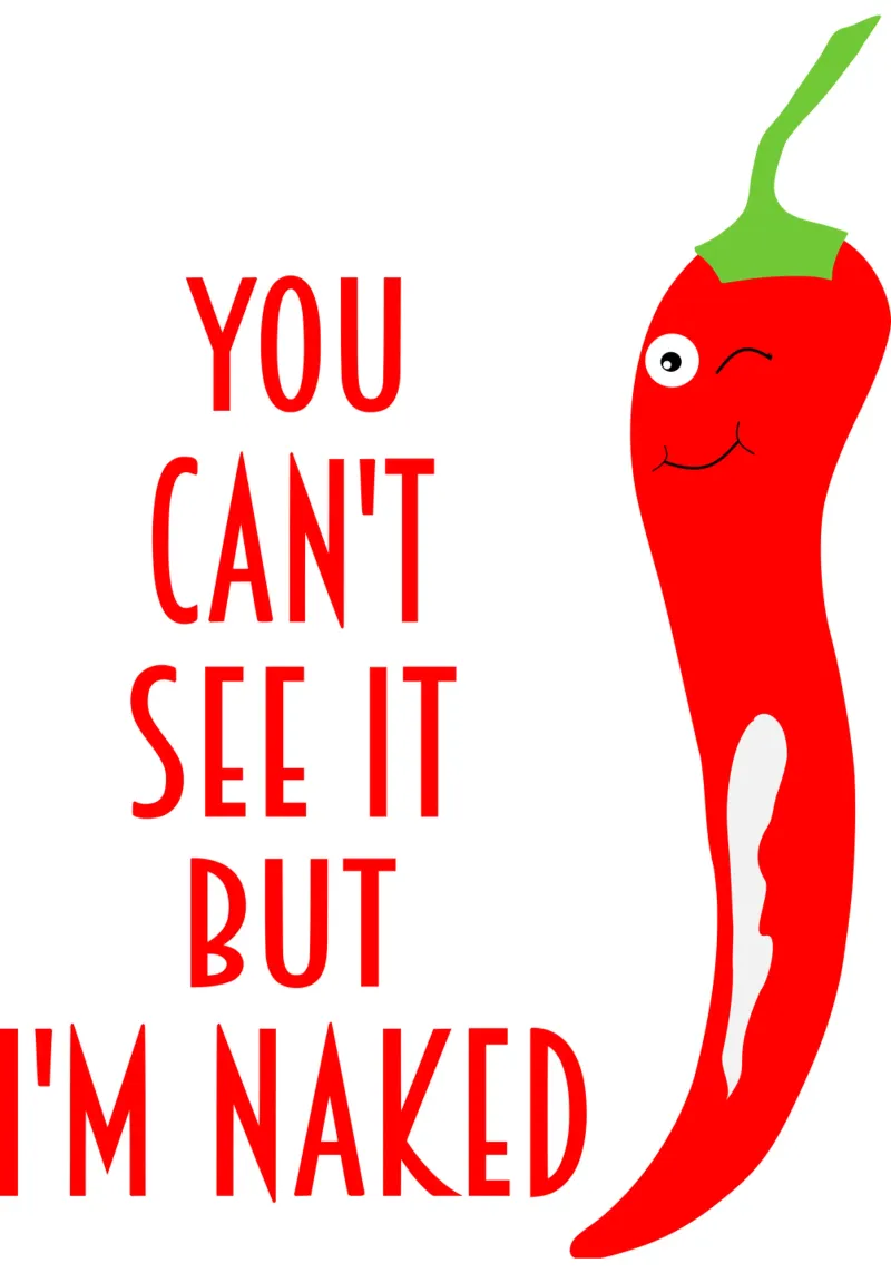 Ik ben naakt Volwassenen Humor poster met kunststof frame van sillyindustries