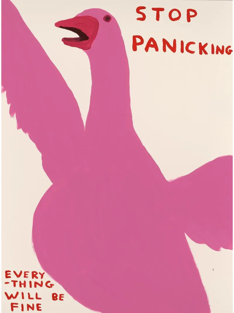 Stop Panicking David Shrigley Pink Swan carta hahnemühle da RANDER J