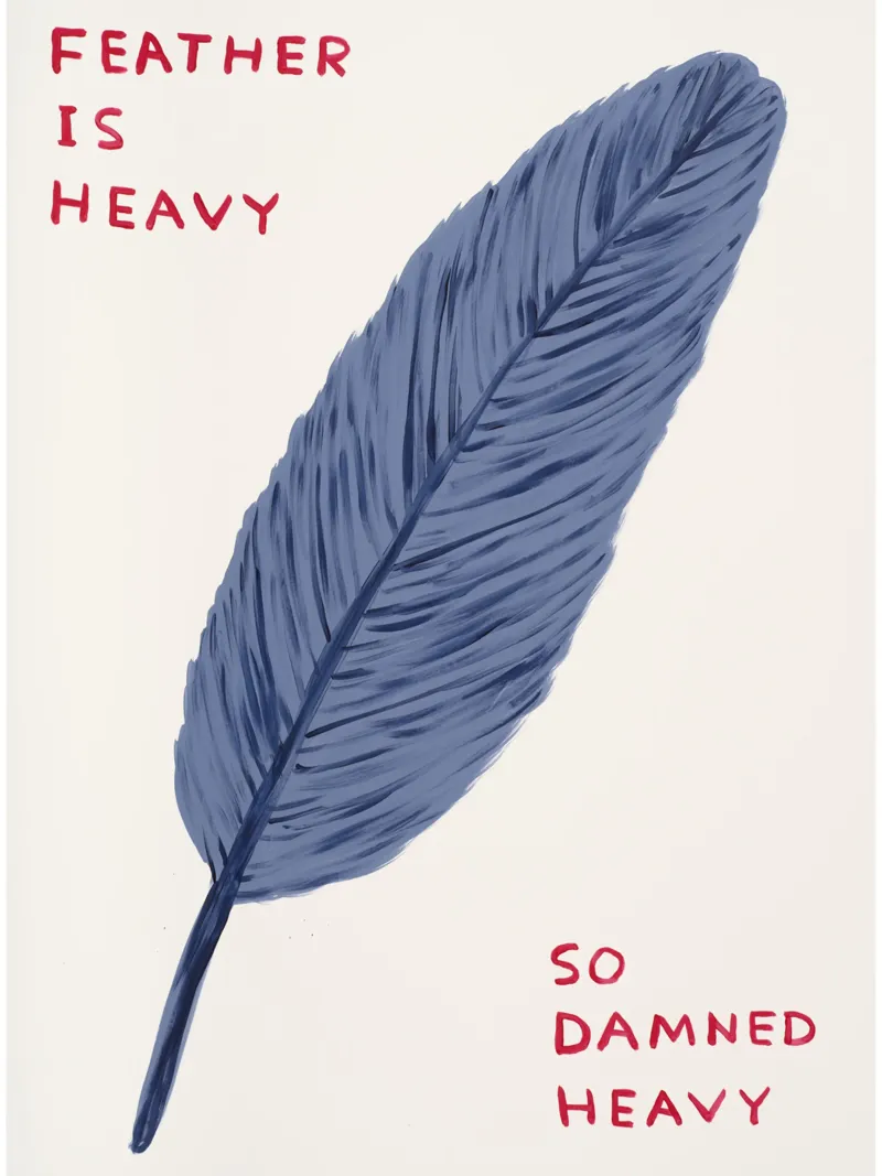 Feather Is Heavy David Shrigley So Damned Heavy alluminio dibond da RANDER J
