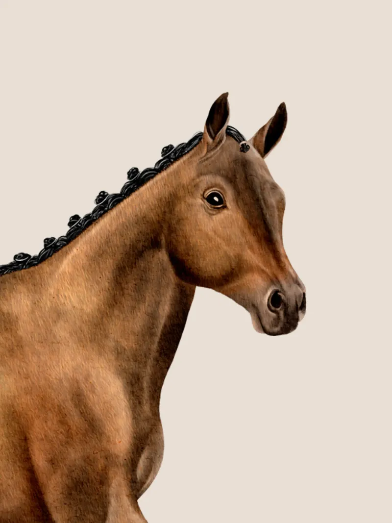Trakehner Portrait pellicola backlit da Moonlit Illustrations