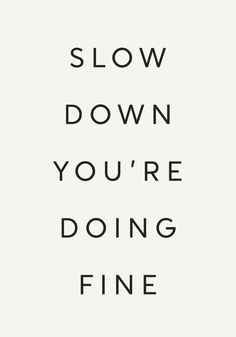 Slow Down You're Doing Fine hahnemühle de Lolly & Roobs