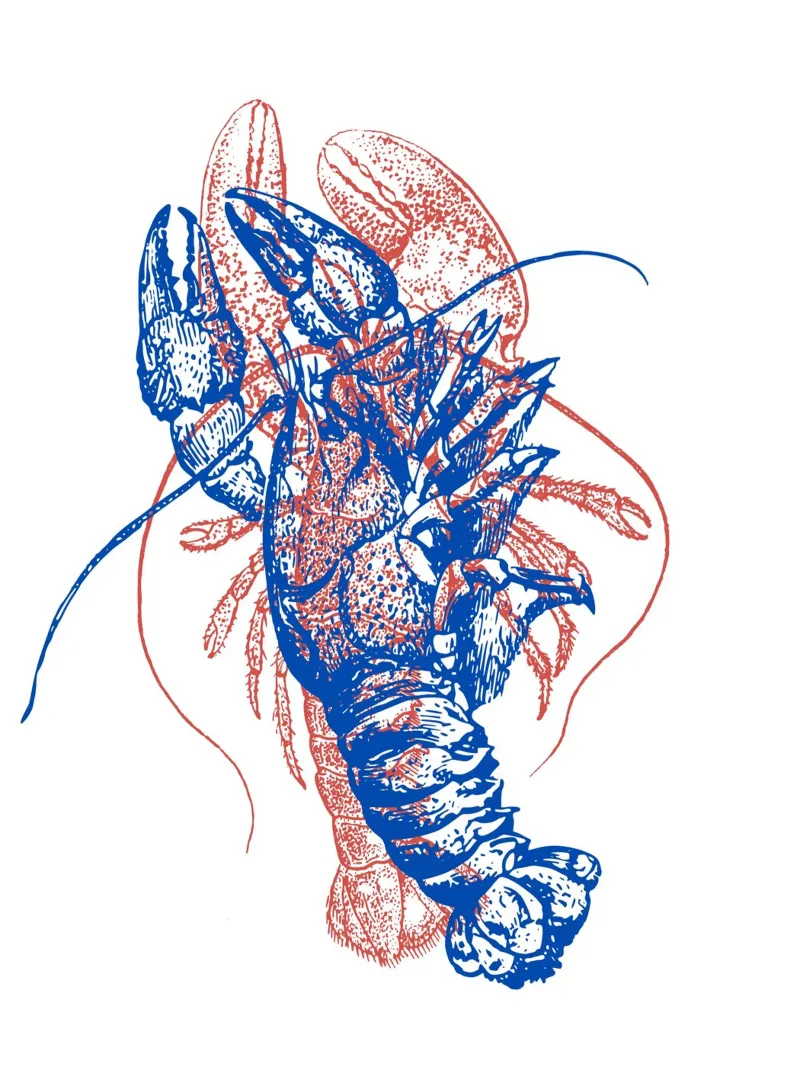 red and blue lobsters alluminio dibond da LisaArtes