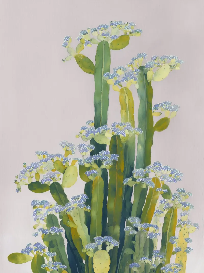 Delicati fiori di cactus alluminio dibond da Carina Pop & Pastell