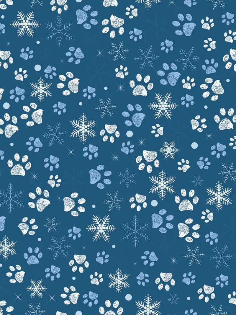 Impronte di zampe con fiocchi di neve blu carta hahnemühle da GalerieGG