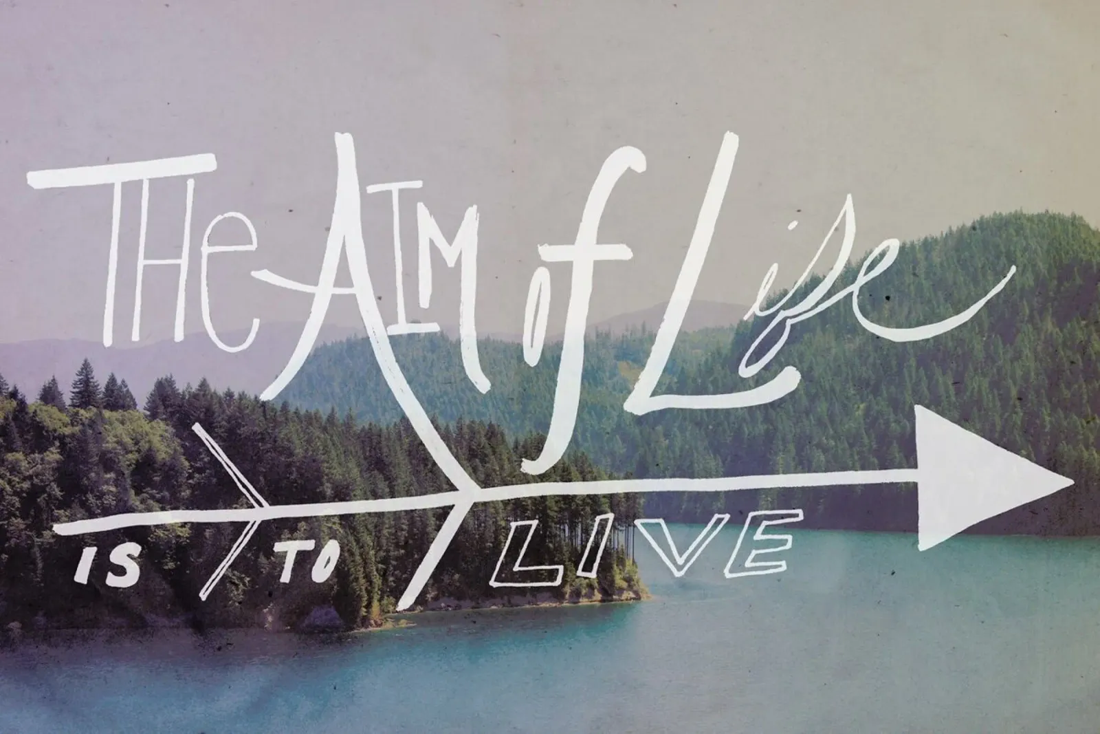 The Aim of Life pellicola backlit da Leah Flores