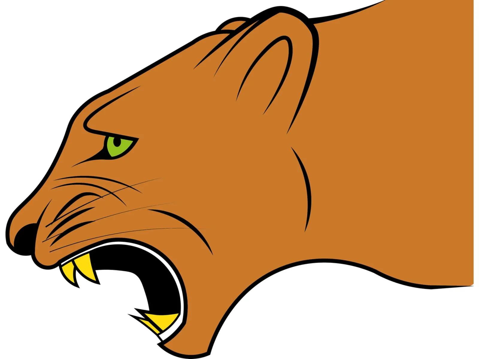 Puma carta hahnemühle da Piccola Serenata
