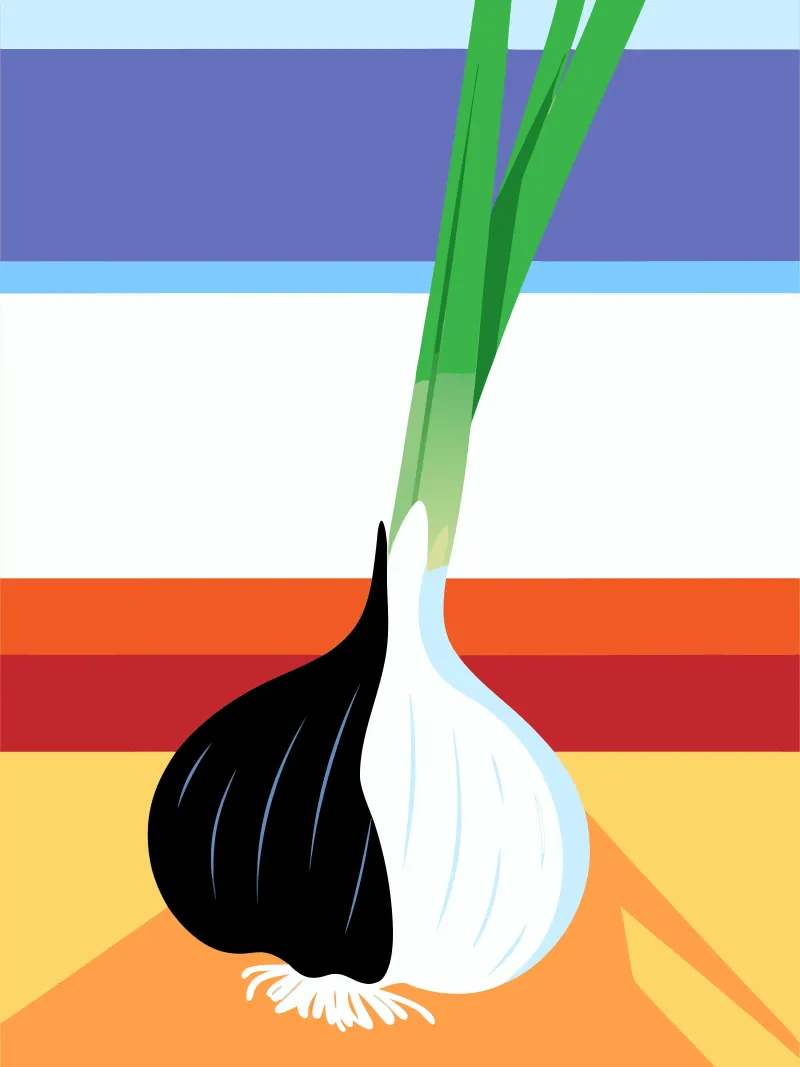 Aglio bianco e nero alluminio dibond da OFFICIAL FRUIT & VEGETABLES