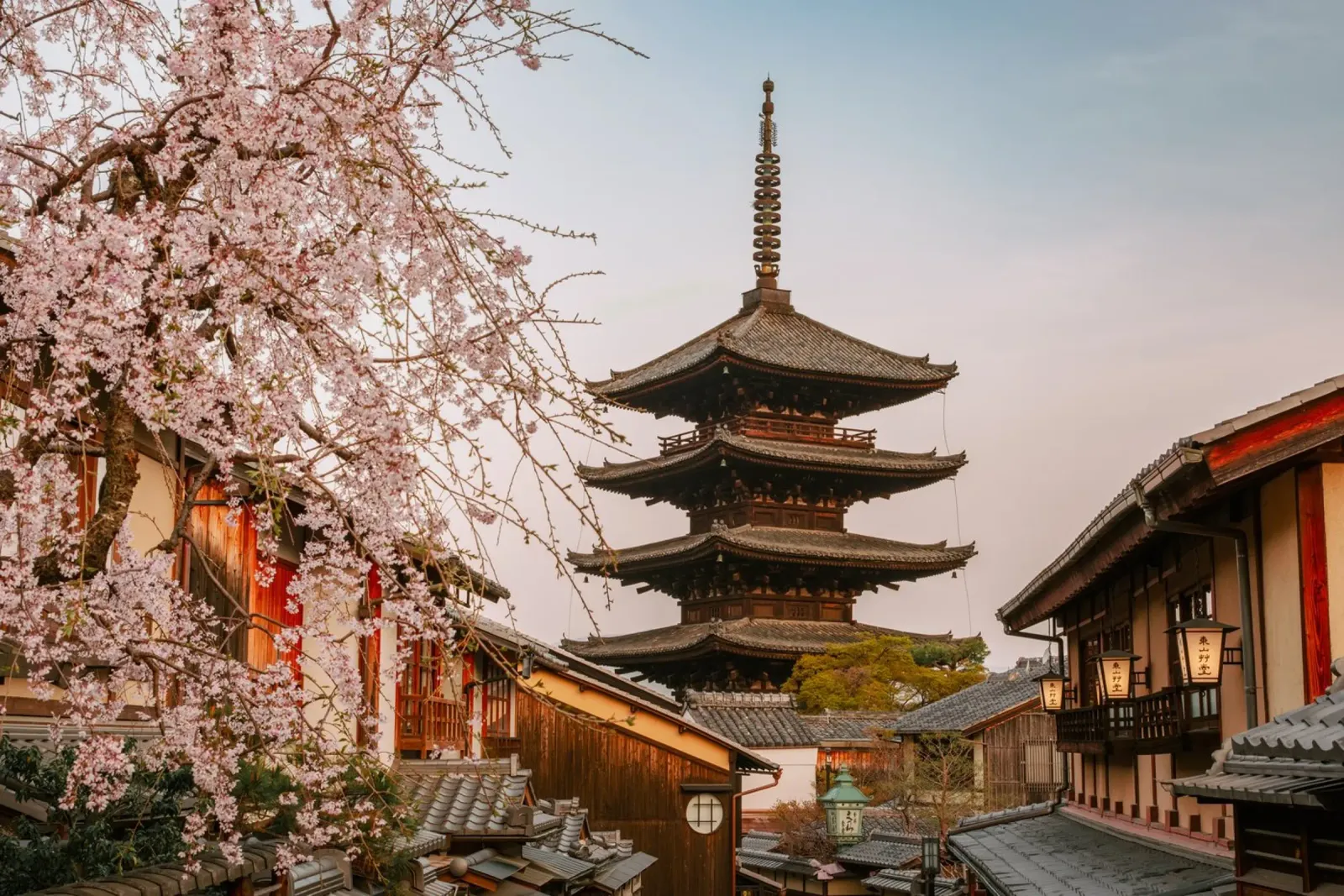 L'alba a Kyoto, Giappone pellicola backlit da mbgraphx2