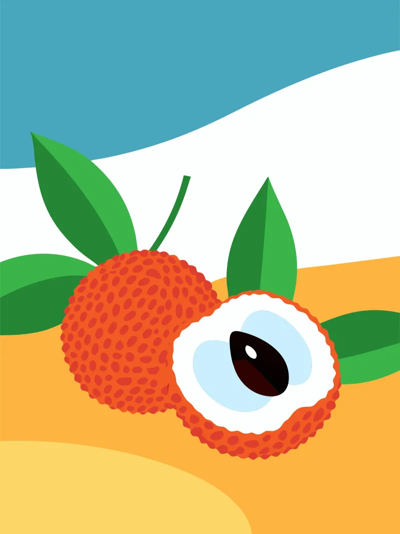 Frutto fresco di litchi carta hahnemühle da OFFICIAL FRUIT & VEGETABLES