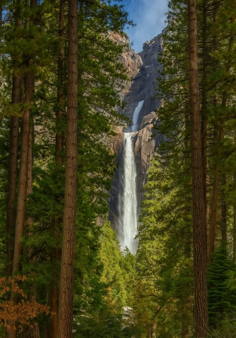 vista di una cascata nella foresta poster da PASMING
