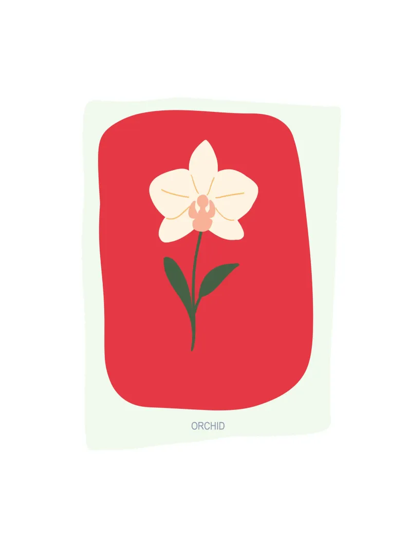 Illustrazione disegnata a mano di un'orchidea plexiglass da GalerieGG