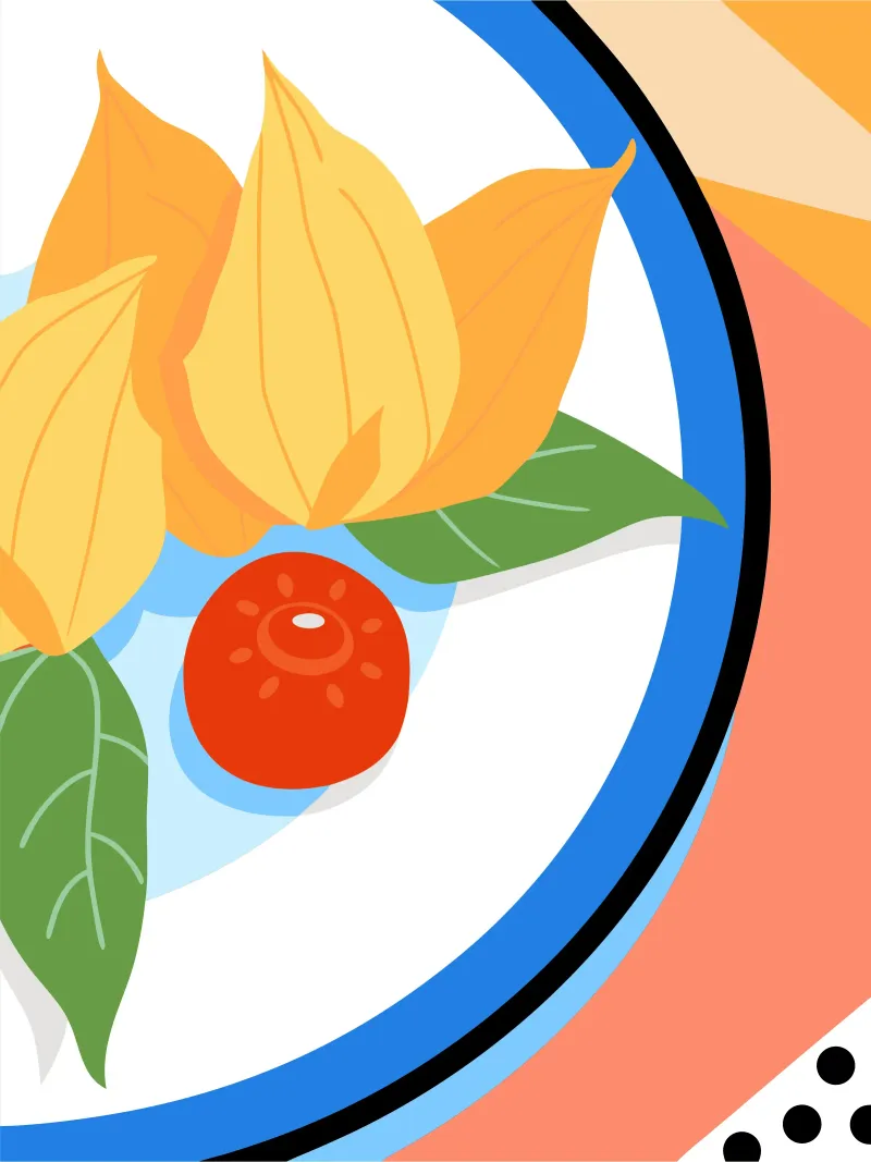 Uva spina fresca del Capo plexiglass da OFFICIAL FRUIT & VEGETABLES
