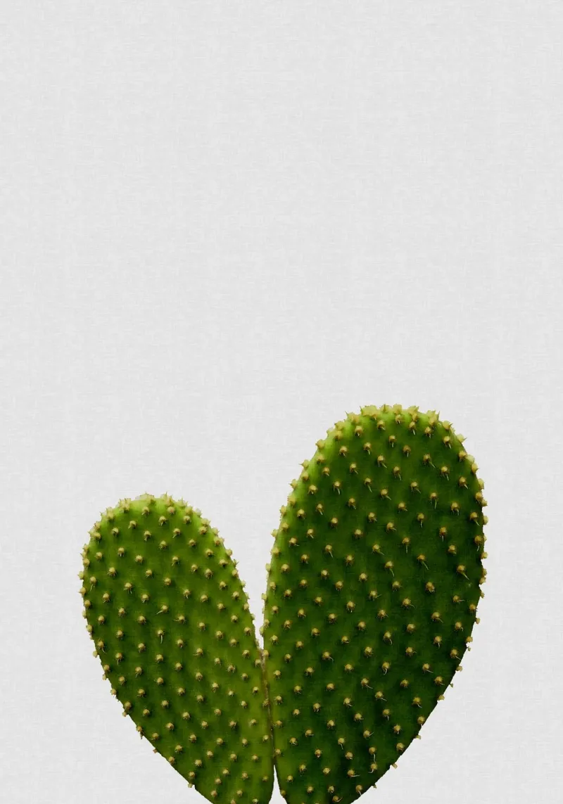 Cactus del cuore pellicola backlit da Orara Studio