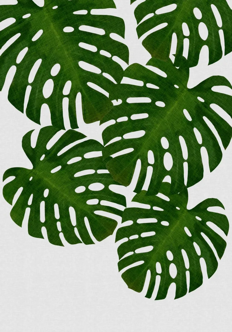 Monstera Leaf I canvas by Orara Studio