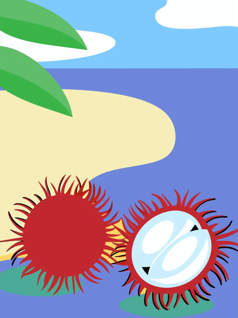 Rambutan sulla spiaggia alluminio dibond da OFFICIAL FRUIT & VEGETABLES