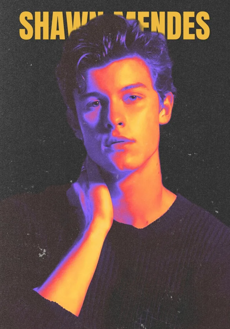 Shawn Mendes poster da Limitless Prints