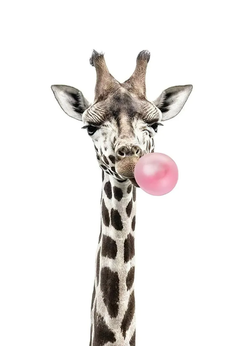 Giraffa di gomma da masticare carta hahnemühle da Emil Art Studio