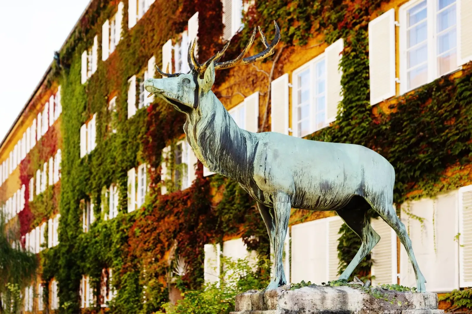 Statua del cervo nel quartiere Borstei di Monaco di Baviera pellicola backlit da Borstei München