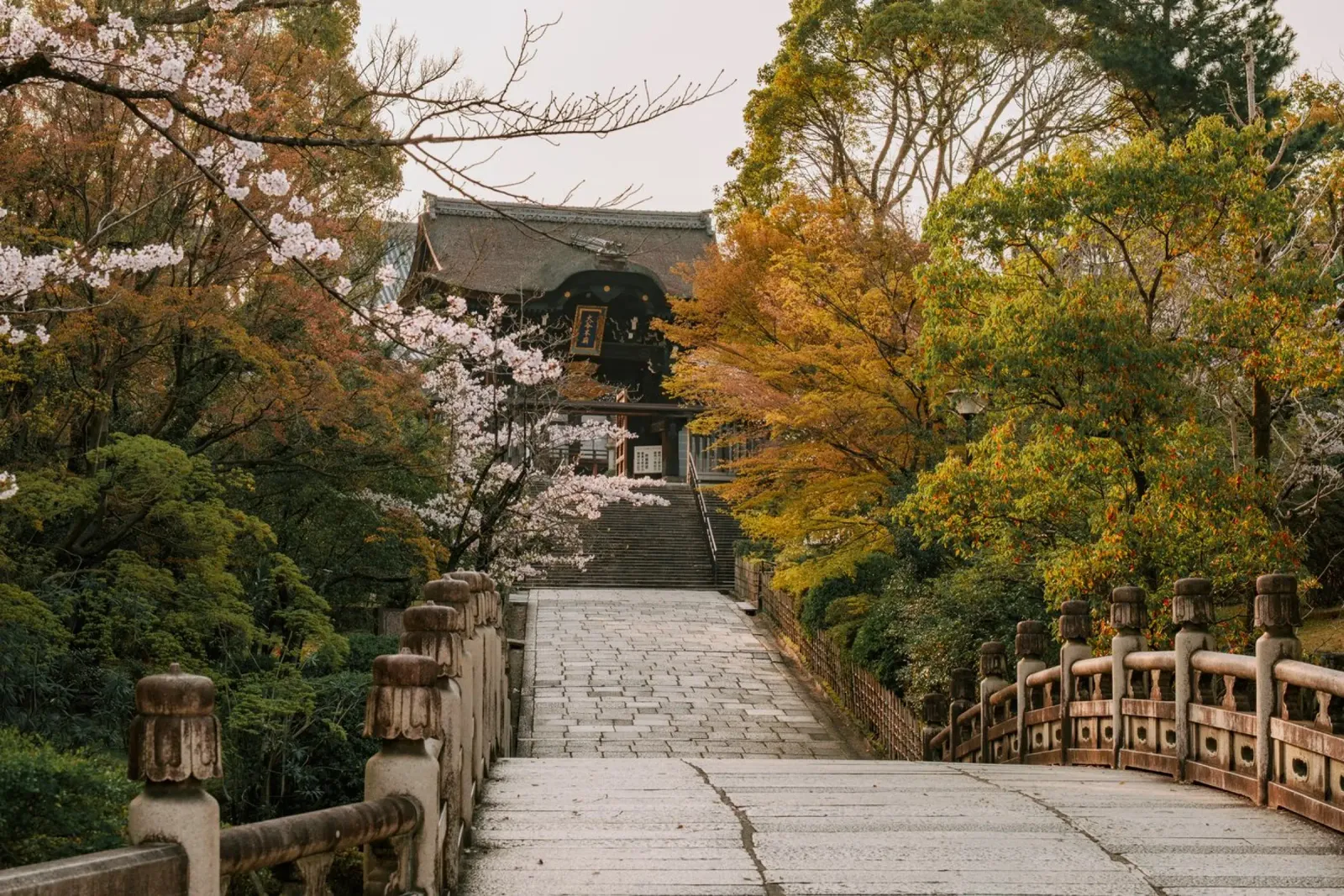 Tempio giapponese dei ciliegi in fiore a Kyoto, Giappone pannello forex da mbgraphx2