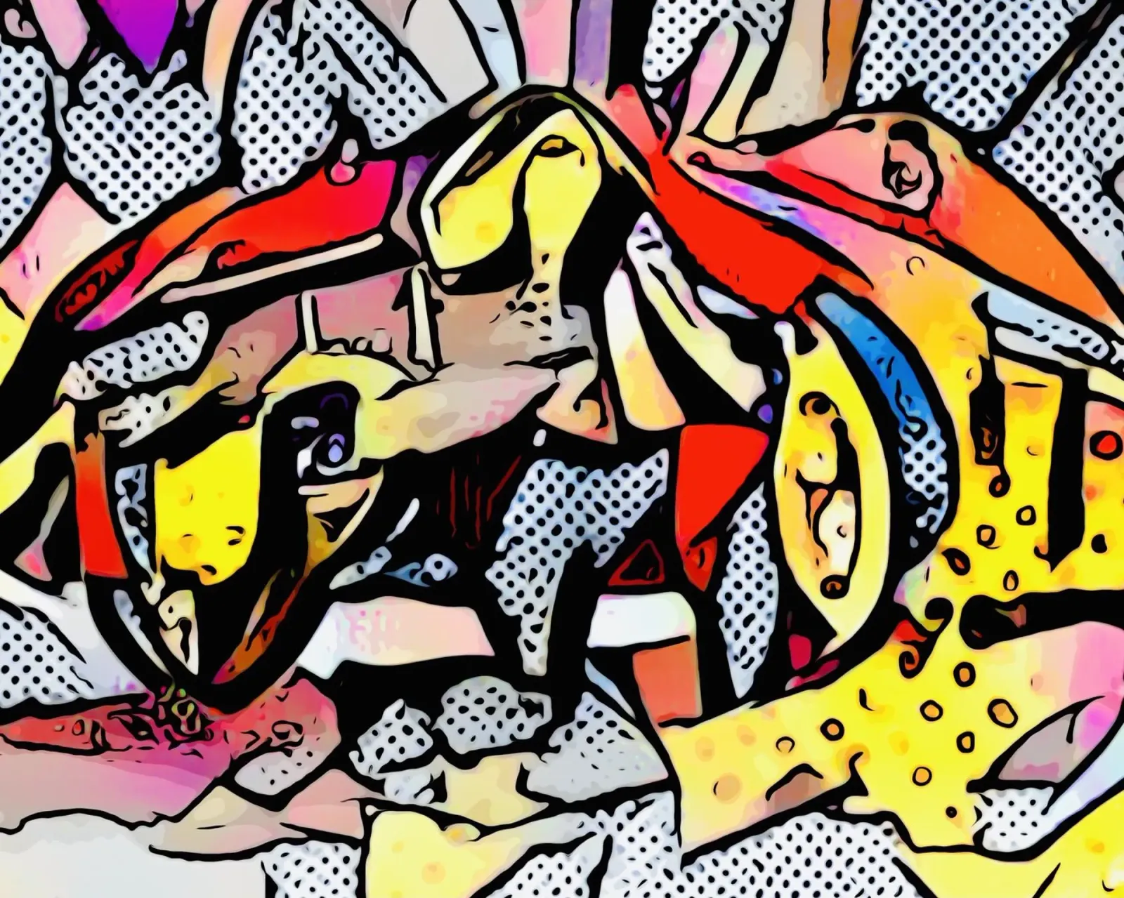 Accelerazione completa carta hahnemühle da ZAMART - PopArt