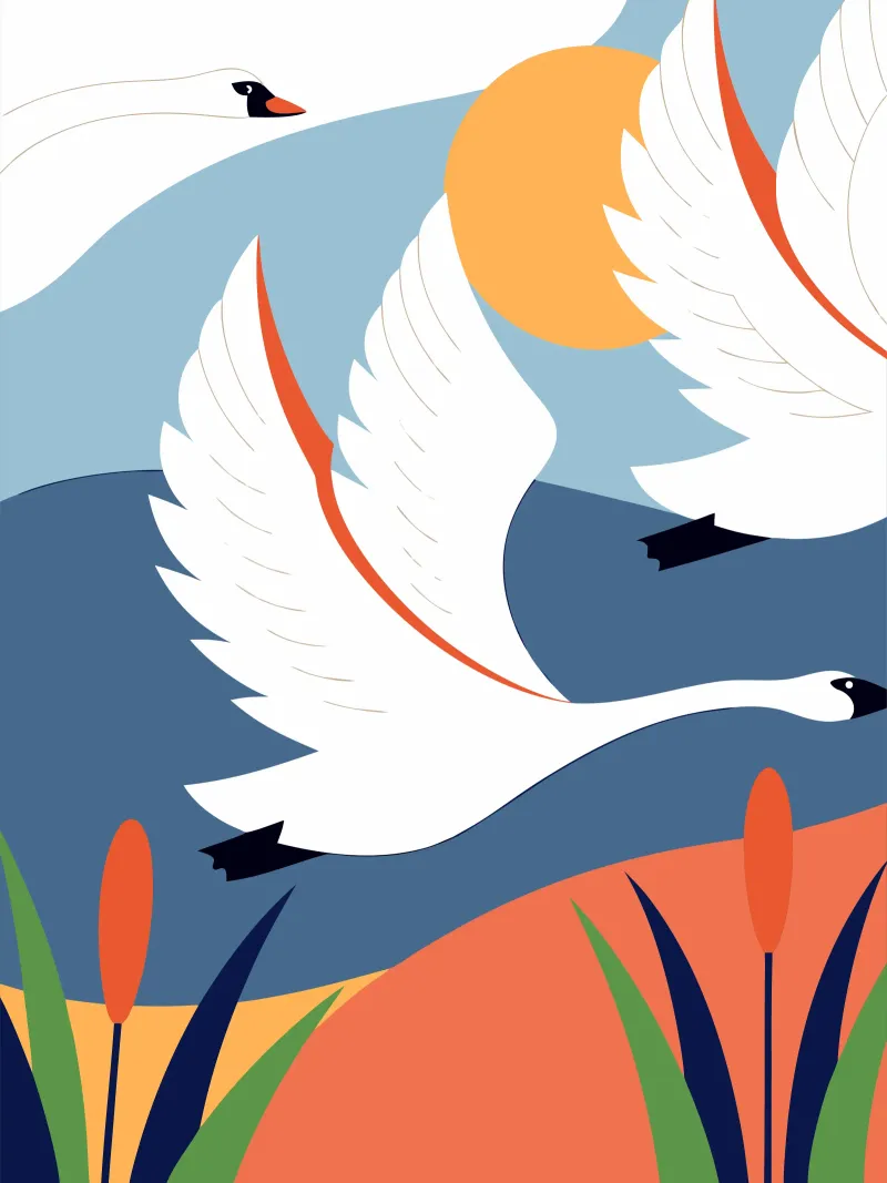 Cigno bianco dietro il sole carta hahnemühle da PROTECT ANIMALS