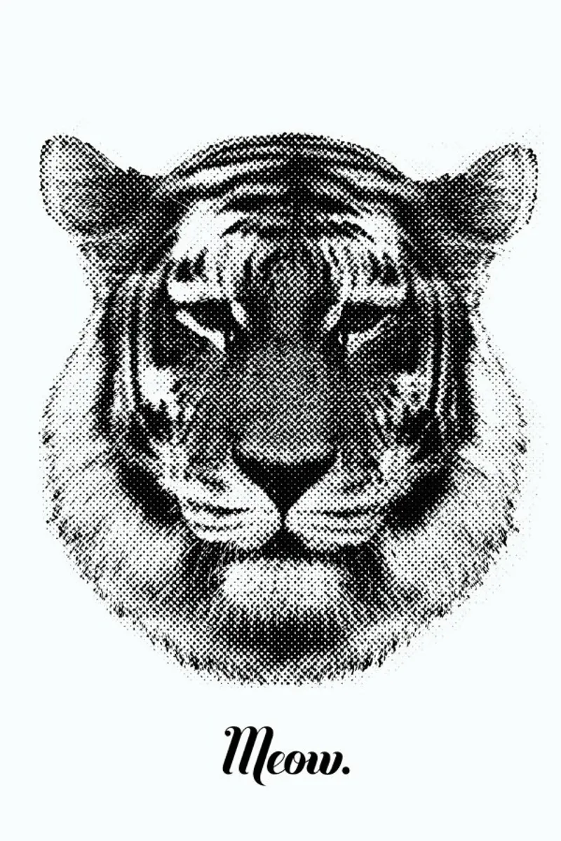 Tiger says Meow hahnemühle by RK Design