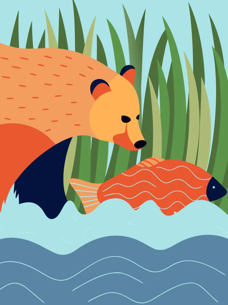 Orso e pesce alluminio dibond da PROTECT ANIMALS