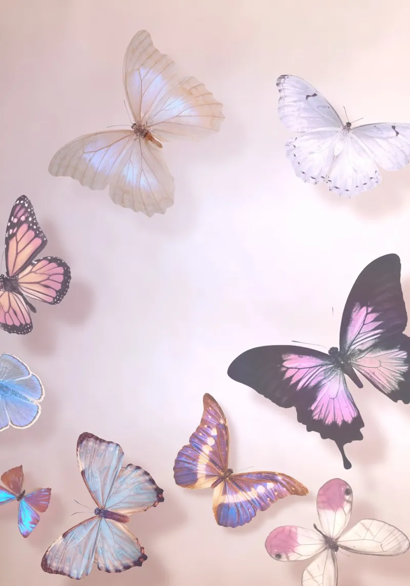 Ethereal Wings hahnemühle by Eva Nev Photography