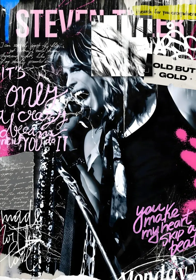 Steven Tyler street art alluminio dibond da Digital Street art