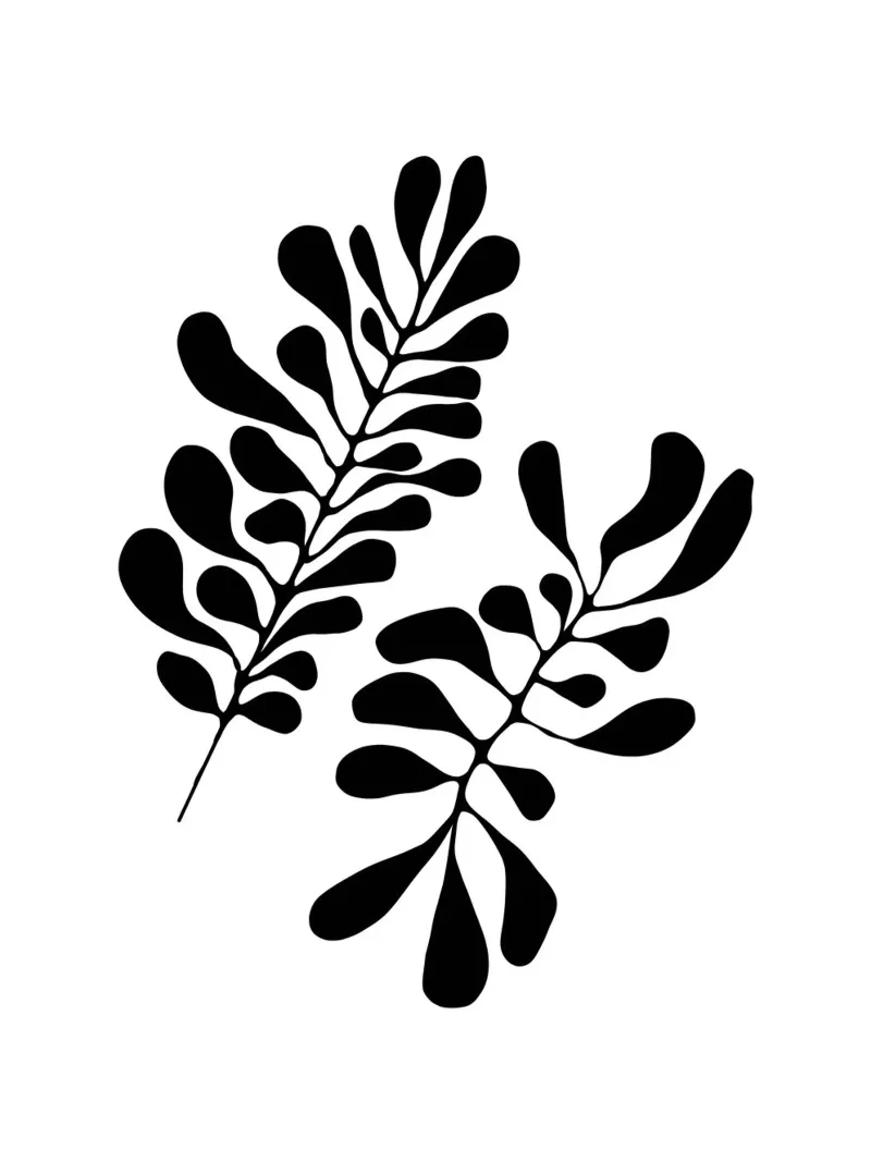 Silhouette botanica - Design minimalista di foglie pellicola backlit da Whole©