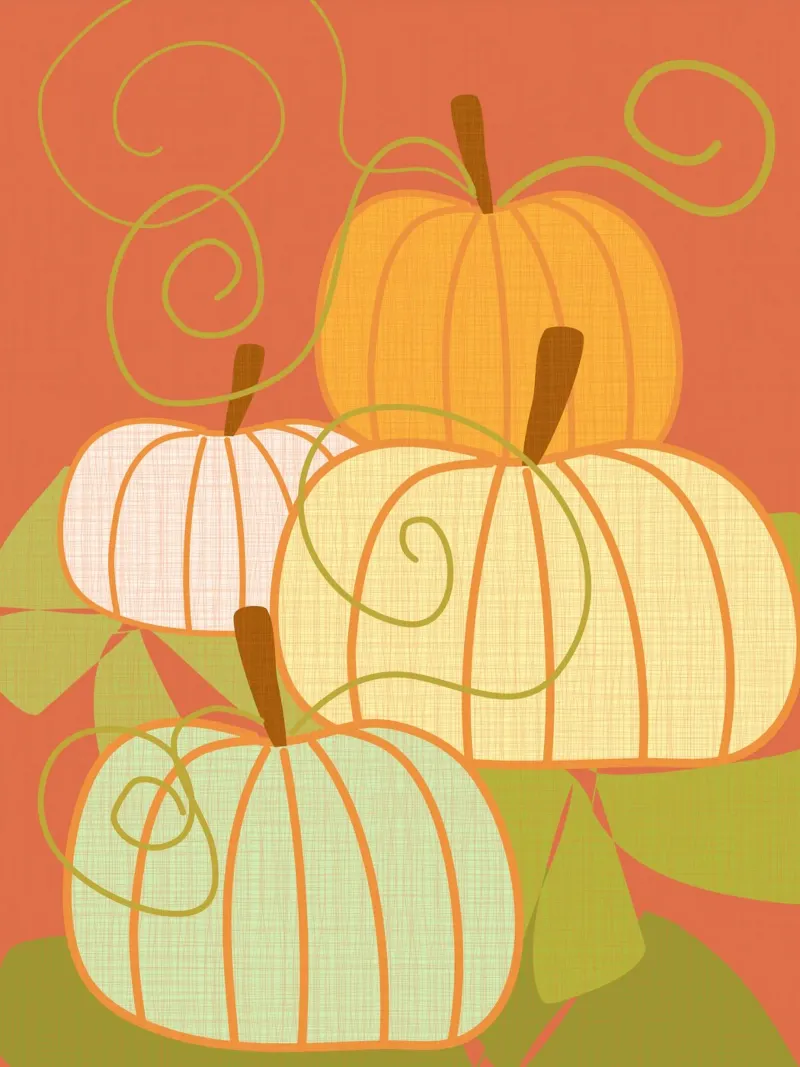 Pumpkins carta hahnemühle da MirimoDesign