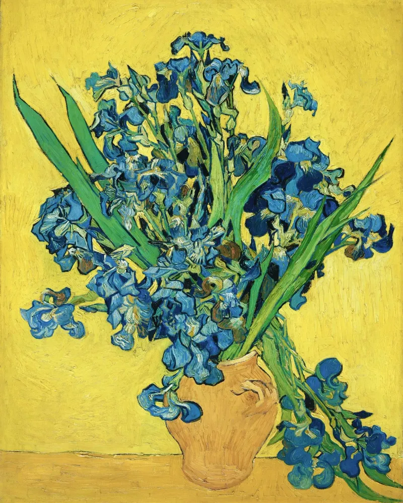 Gli "Iris" di Vincent van Gogh carta hahnemühle da Jolie Prints